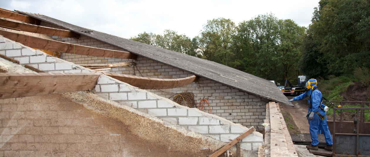 Asbestos experts surveying roof